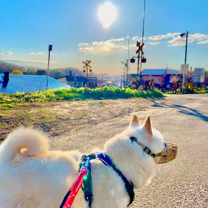 4355640b fd50 47ba 9c69 25daa6801525 1651269031824