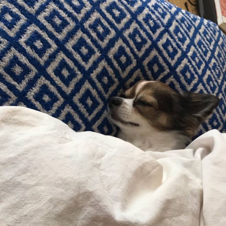 43556533 29fc 4c59 b25a 5e232f40413c 1540098594950