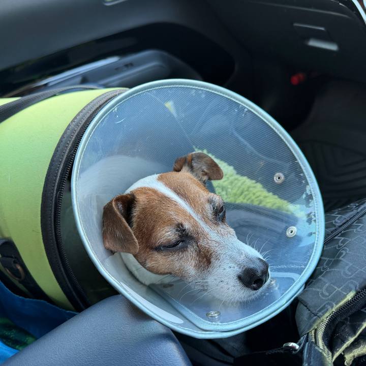 4355713a e57e 4b13 998f be3a8646aa3c 1766885485419