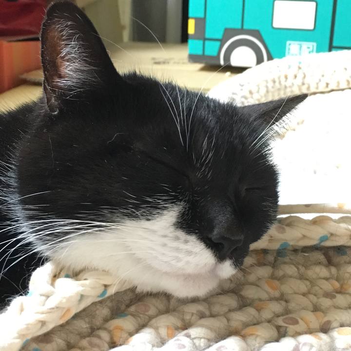 43558a73 2308 4629 823d 58ceb29e6add 1526322395990