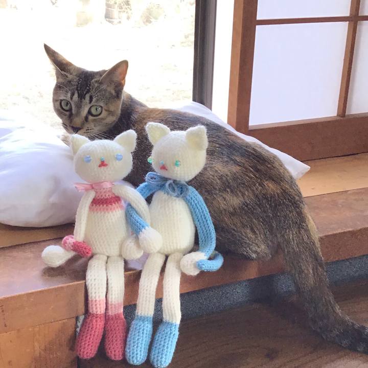 43558d4b b05c 4d0a a6ba 17c3080a0b8e 1574663393805