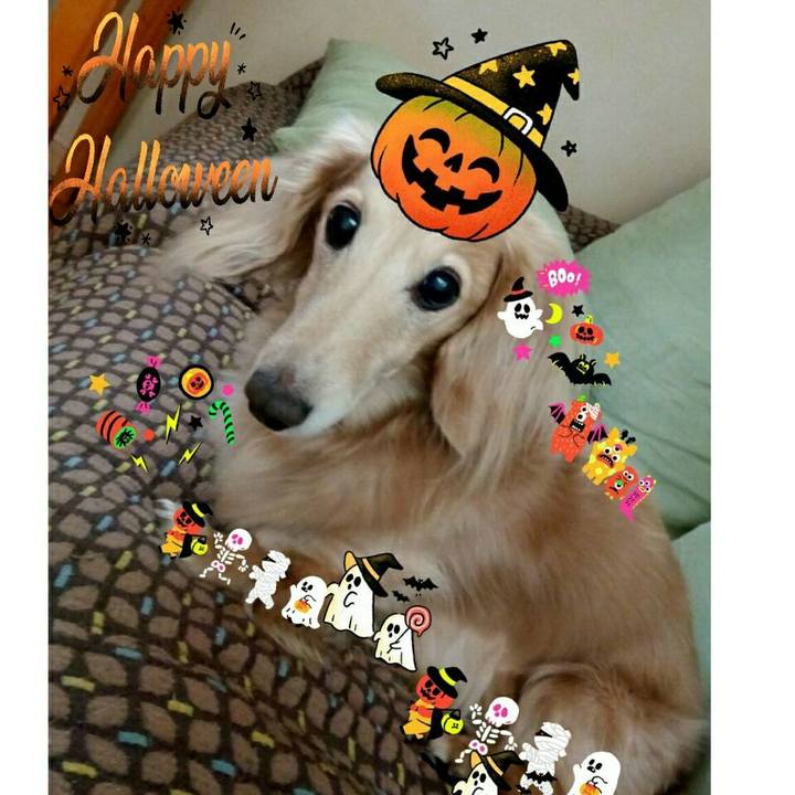 4355c049 8f7b 4279 b734 50e6df6a6014 1572534577075