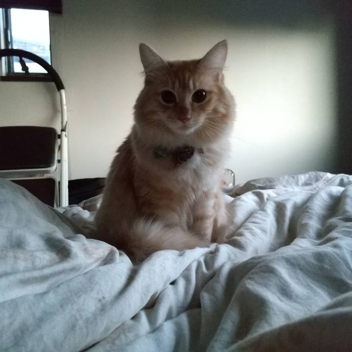 4355d085 8f8a 44c0 b2d0 70a5d575b19e 1634507182357