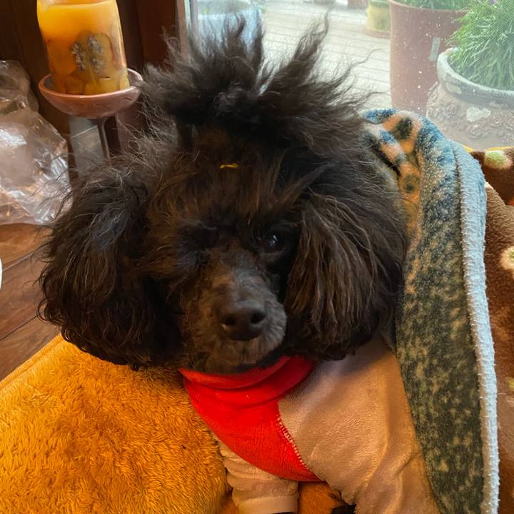 4356018c b2ba 4d88 9081 8d5bdda4ba59 1644620205808