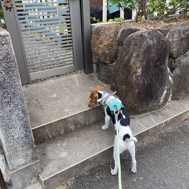 43561309 e78e 4240 8243 2072eac1c765 1750637274476