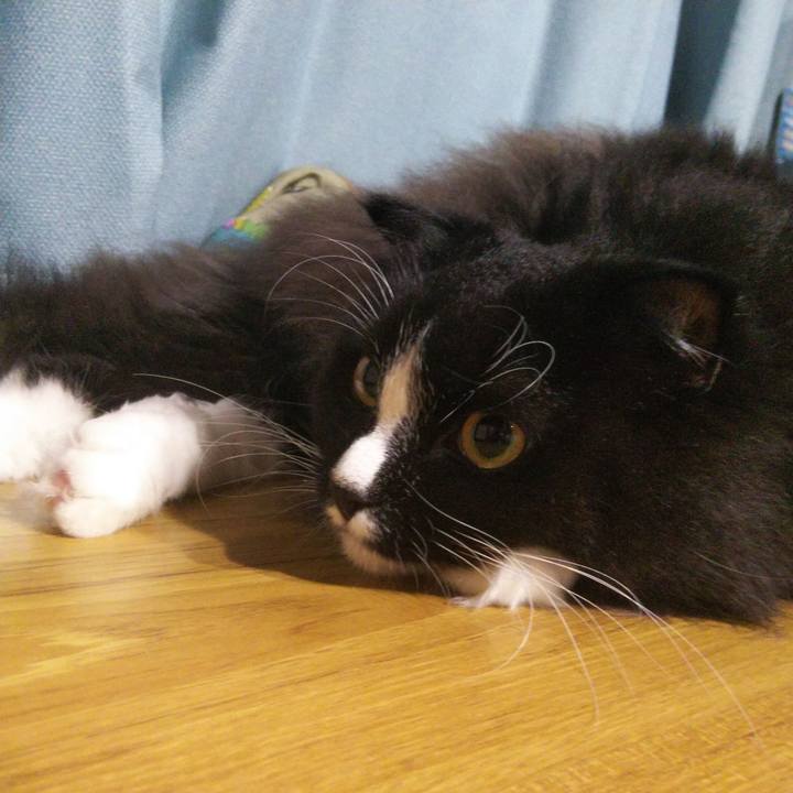 435629c4 5014 4b15 a8e3 cb115dbddb97 1663457850557