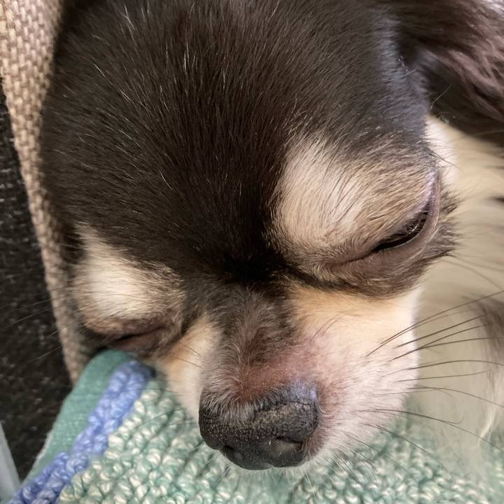 4356372f 8bdf 4372 a344 7927b1d635c0 1662212690714