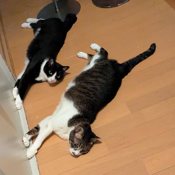 43563ccc d1be 46cf 952f b55ff56b628b 1754410350809