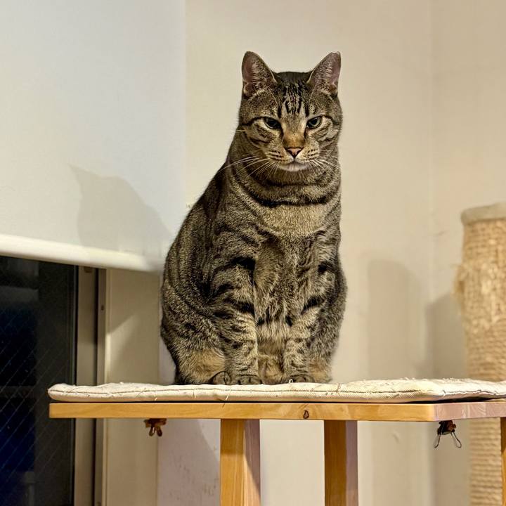 435643ce 24db 4c02 8d8a 9483fd5478ca 1775310263953