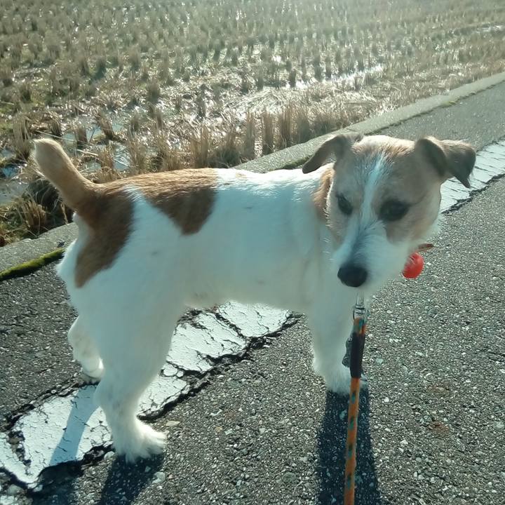 435660d1 c2e4 44be a235 492f0ba319eb 1515315844020