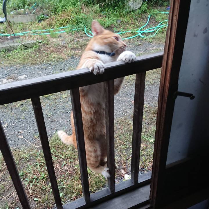 435683de c582 47b8 9ae1 7acaf2546b23 1567979259024