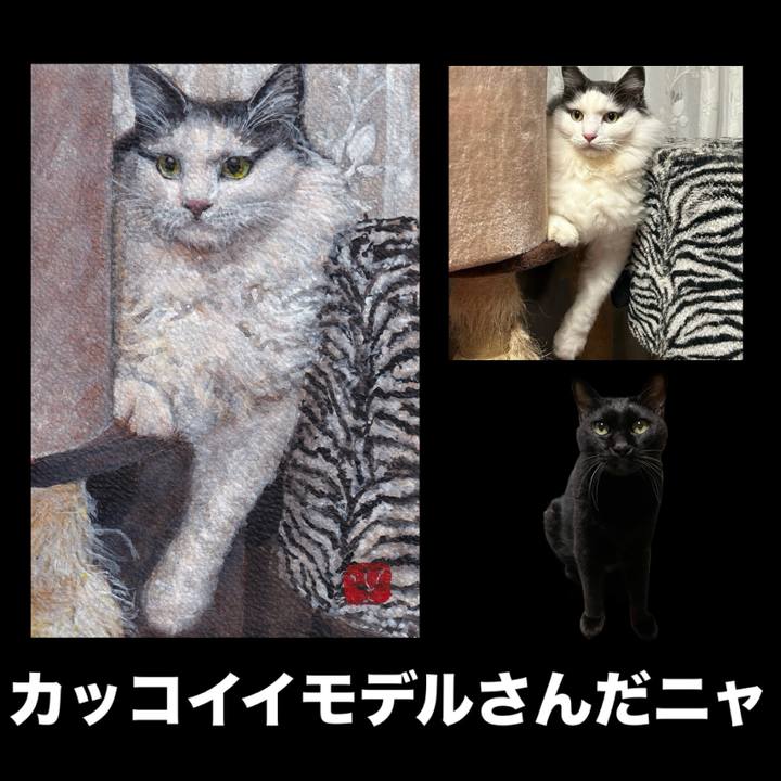 4356a456 6951 4af7 a7c5 e65c0baf877b 1752238319701
