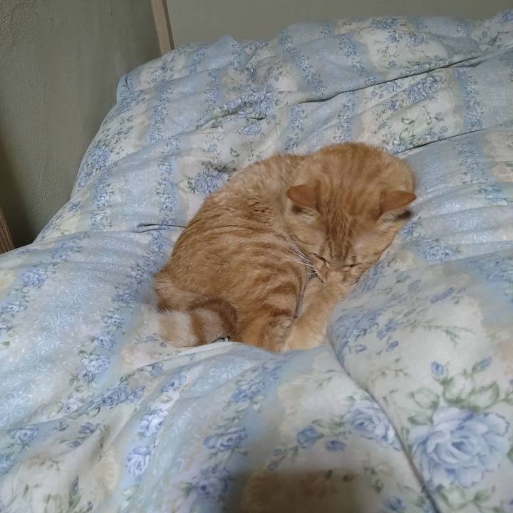 4356d590 740c 4270 9cae 37503e282f19 1759839674245