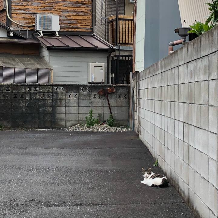 4356db74 aebb 41f8 88f0 730b8a1e6773 1526606395595