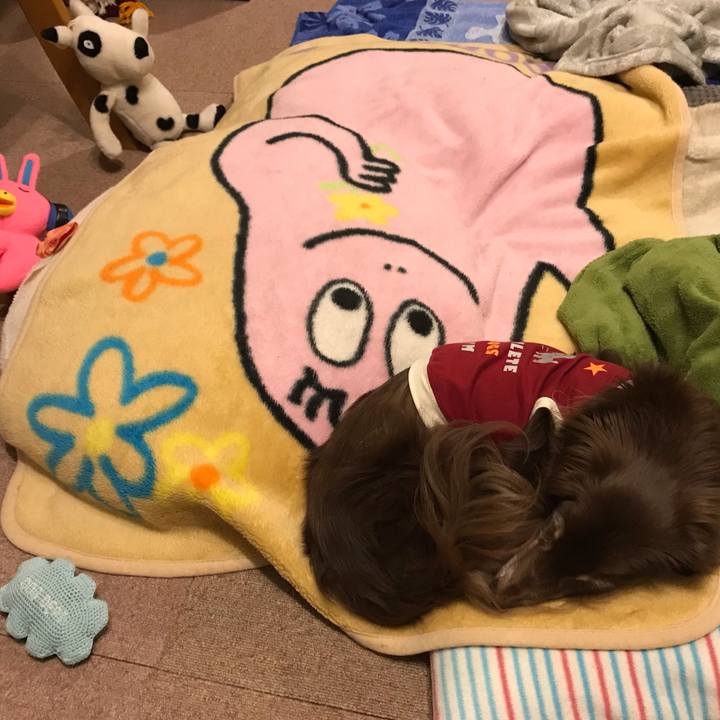 43573b42 7c29 4a64 9d44 8303b66e23aa 1557231007080