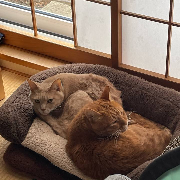 43573efc 8356 493b a7f7 343c4fc451eb 1681992552951