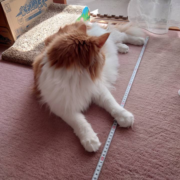 435740f6 6a47 4bf0 8740 52267a580498 1651675792821