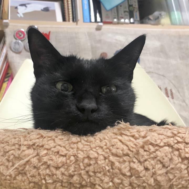 43574e97 23d0 4740 b565 a64cd783572f 1605012749200