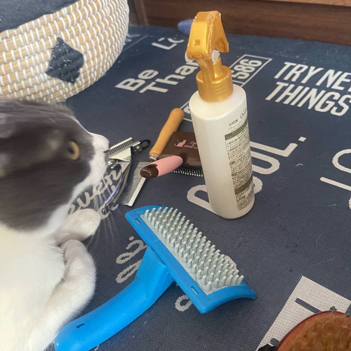 4357b6a2 897b 4eb1 8341 a818f68c8416 1716688413594