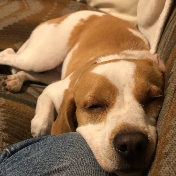 435802c1 9ee2 4be5 be04 64f1e406df3e 1601293247194