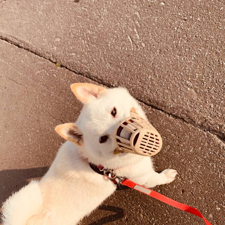 435802c8 13f9 4a10 8a32 4618412cfb04 1564264318191