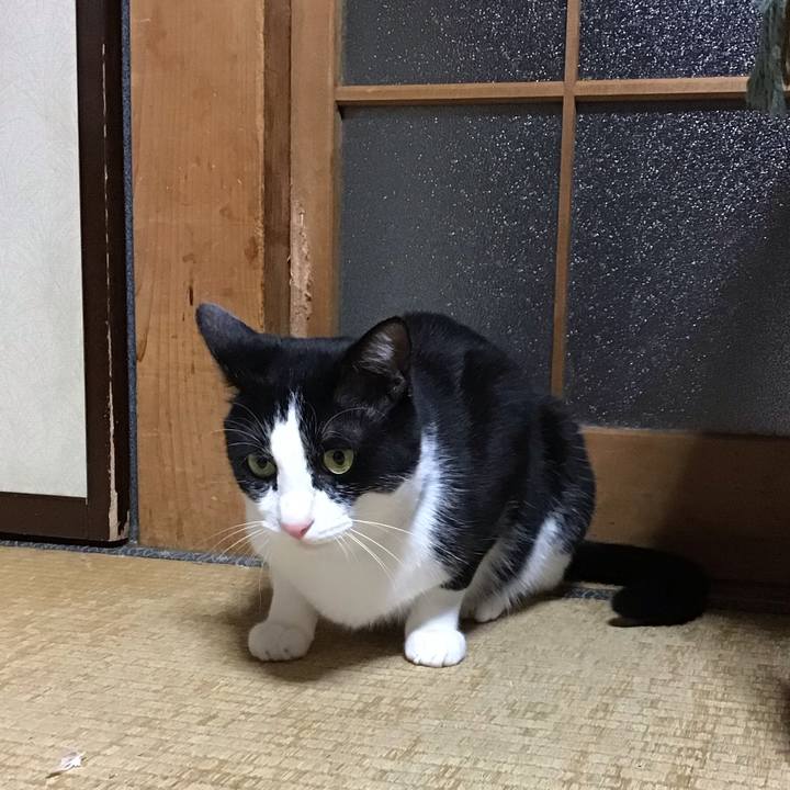 435806c0 0463 47c5 a3d5 e58c4fbd05e2 1685102170090