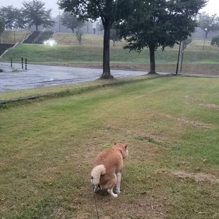 43583089 32dc 44d8 a459 d611a0377b97 1724571559086