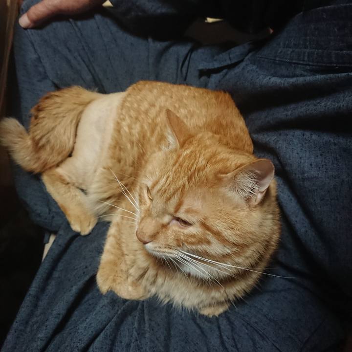 43588fe6 661d 4606 93c1 e3519de609c0 1654507243045