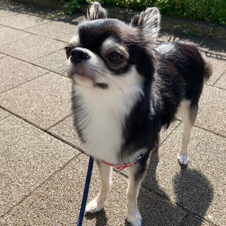 4358b3c2 a363 42d9 9469 c11bc7b08b88 1626500949404