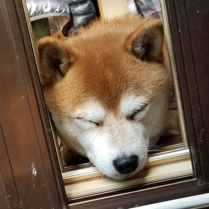 435909f6 dbf3 444e 948d 6d213a84829c 1513927927619