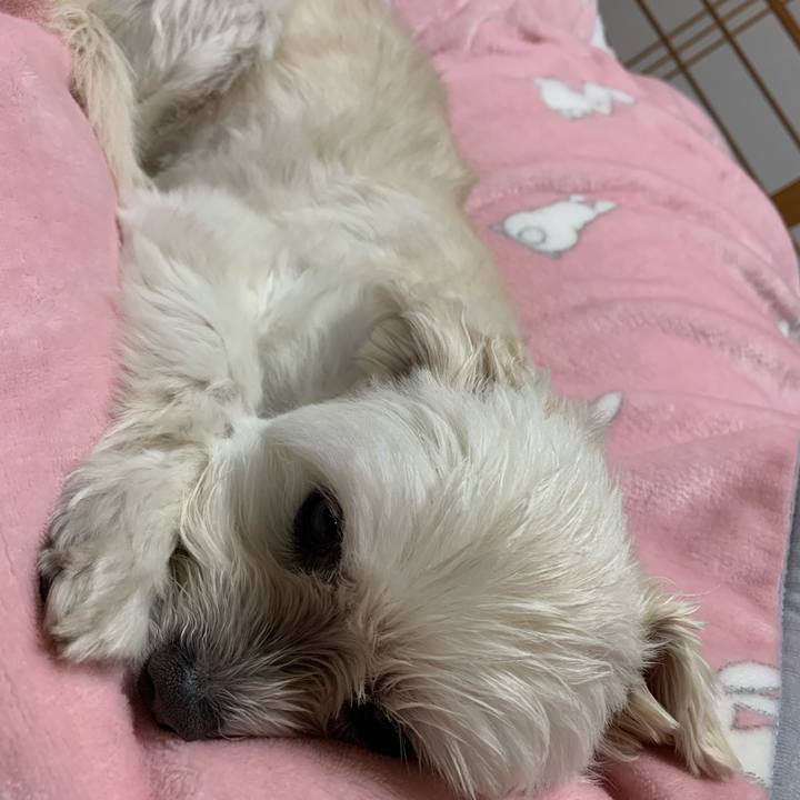 43590ec4 edf5 4232 b4de c3de190aaa31 1615805101607