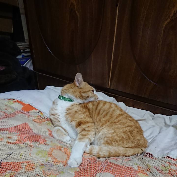 43593c6c aeec 48cd 9033 8aa73e4f1caa 1584616091830