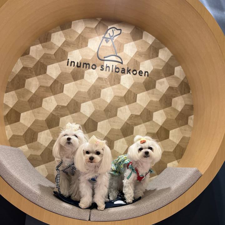 4359458b 60a1 4267 a8b0 e671ee69d0e4 1696834211238