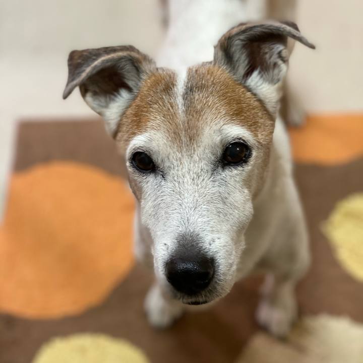 43595245 49fe 450a a83a e932a977edcc 1605738090302