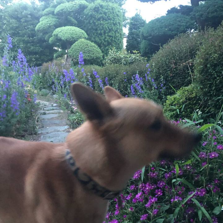 43596359 5e2d 4908 8972 33ad2b671bfe 1559815734954