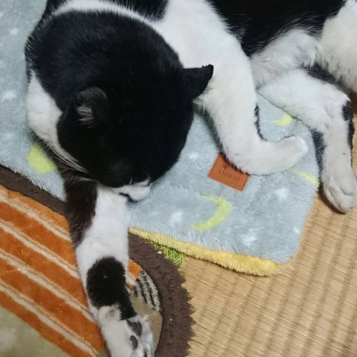 43599815 45c2 4d84 bb4a cc41aeb92588 1513827180035