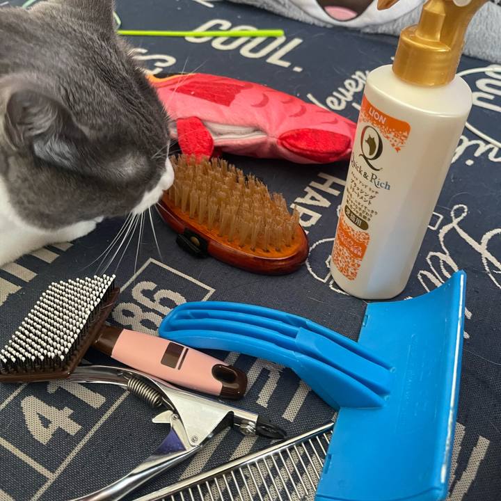 4359b6b6 9f09 4355 be75 f28e8f2b3327 1729387740928