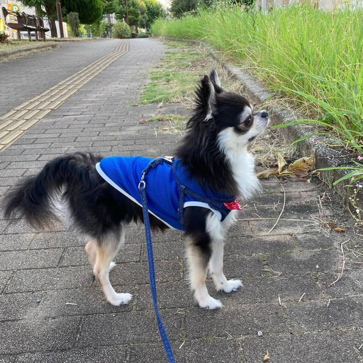 4359ccc8 e714 4f4f 97ed 408092cb854c 1690123235371