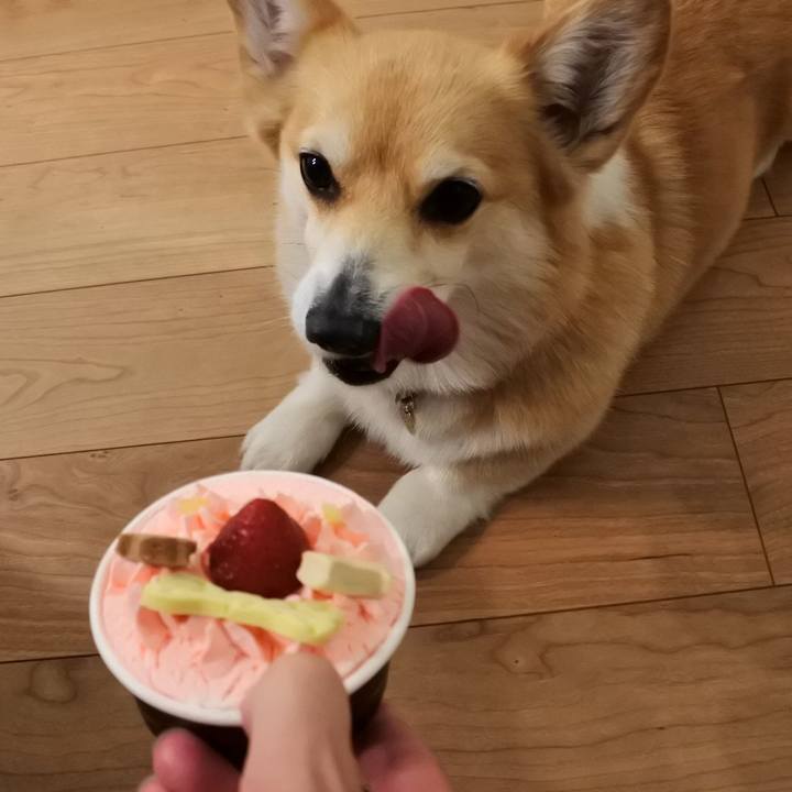 435a0ba2 c5e8 4639 a66f d5191aa2246f 1685113570527