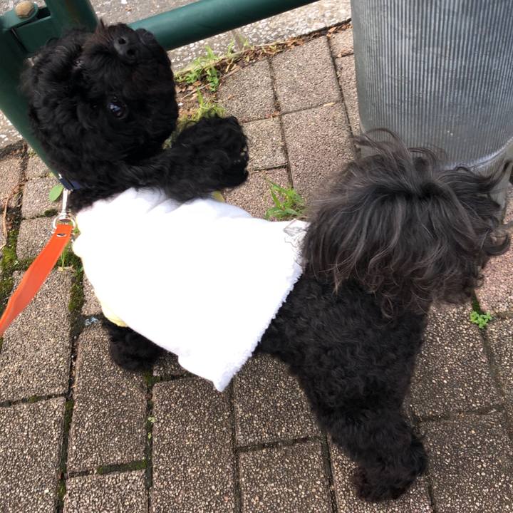 435a162c 0813 4795 bda7 fe1f63cf4b4c 1538525383447