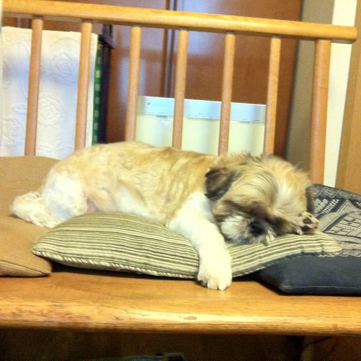 435a2dd4 1987 453f 8893 f5f128531a55 1758983240317