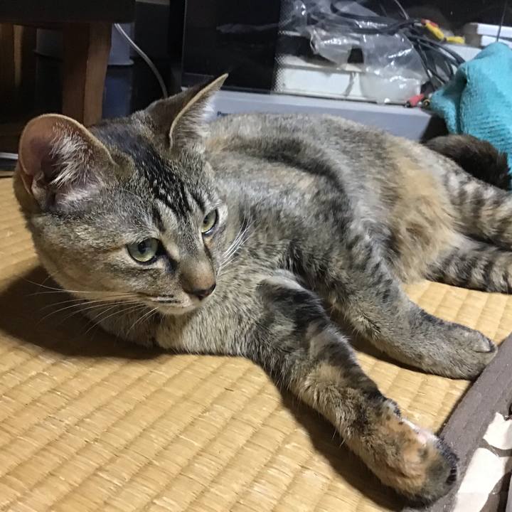 435a59b5 3c70 40d4 83a9 f46b2dcf584d 1584966136708