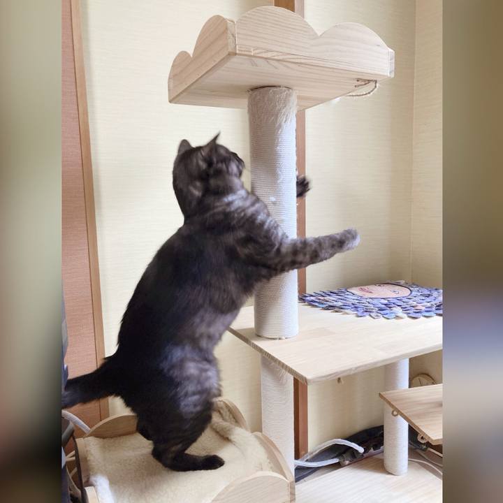 435a5b7d 51a3 4a27 8344 16fb74768be8 1714267322675