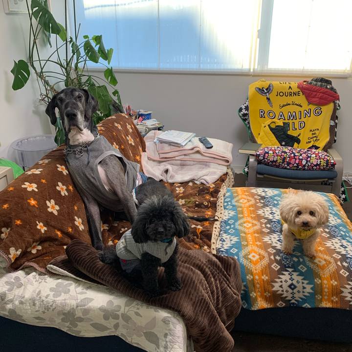 435a6967 d945 4271 bb65 ac1a278f0e8d 1608157444623