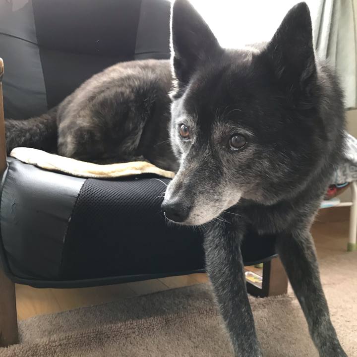 435a9ebc 22b6 4270 a104 60472694ba43 1573042156347