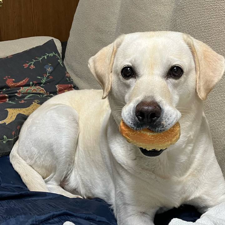 435aa478 a43d 4978 beac 52965ce95166 1663800841126