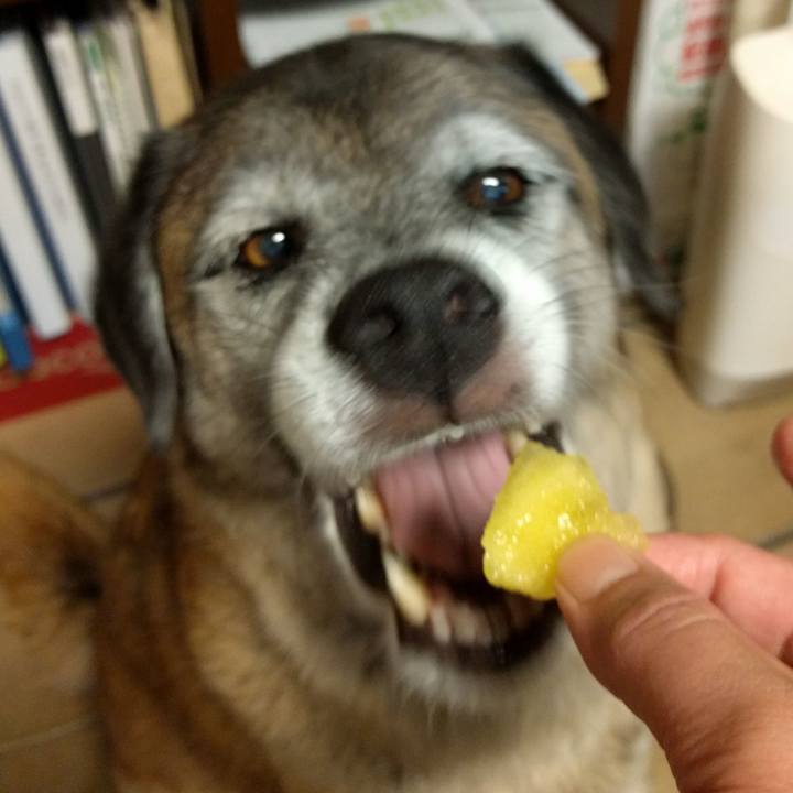 435ab0a2 2715 4522 89ae 8df341cf387e 1533547670225