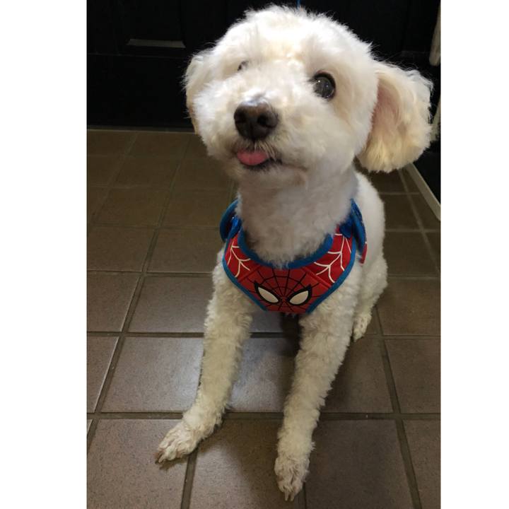 435ac5f9 6791 4e4a 95ec 382f98cc1255 1537876958475