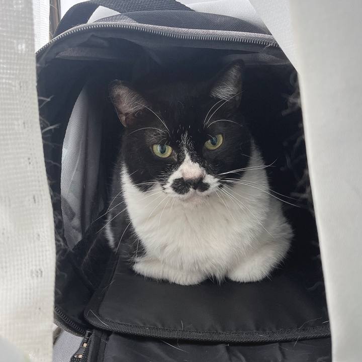 435ae2dc 666c 4c2e a740 601666636dba 1686613632582