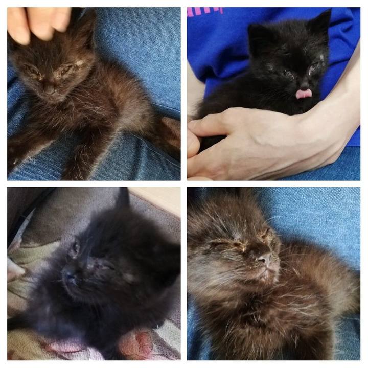 435af47a 7e74 4d7f bd5d 2b2f9d127899 1610179059697